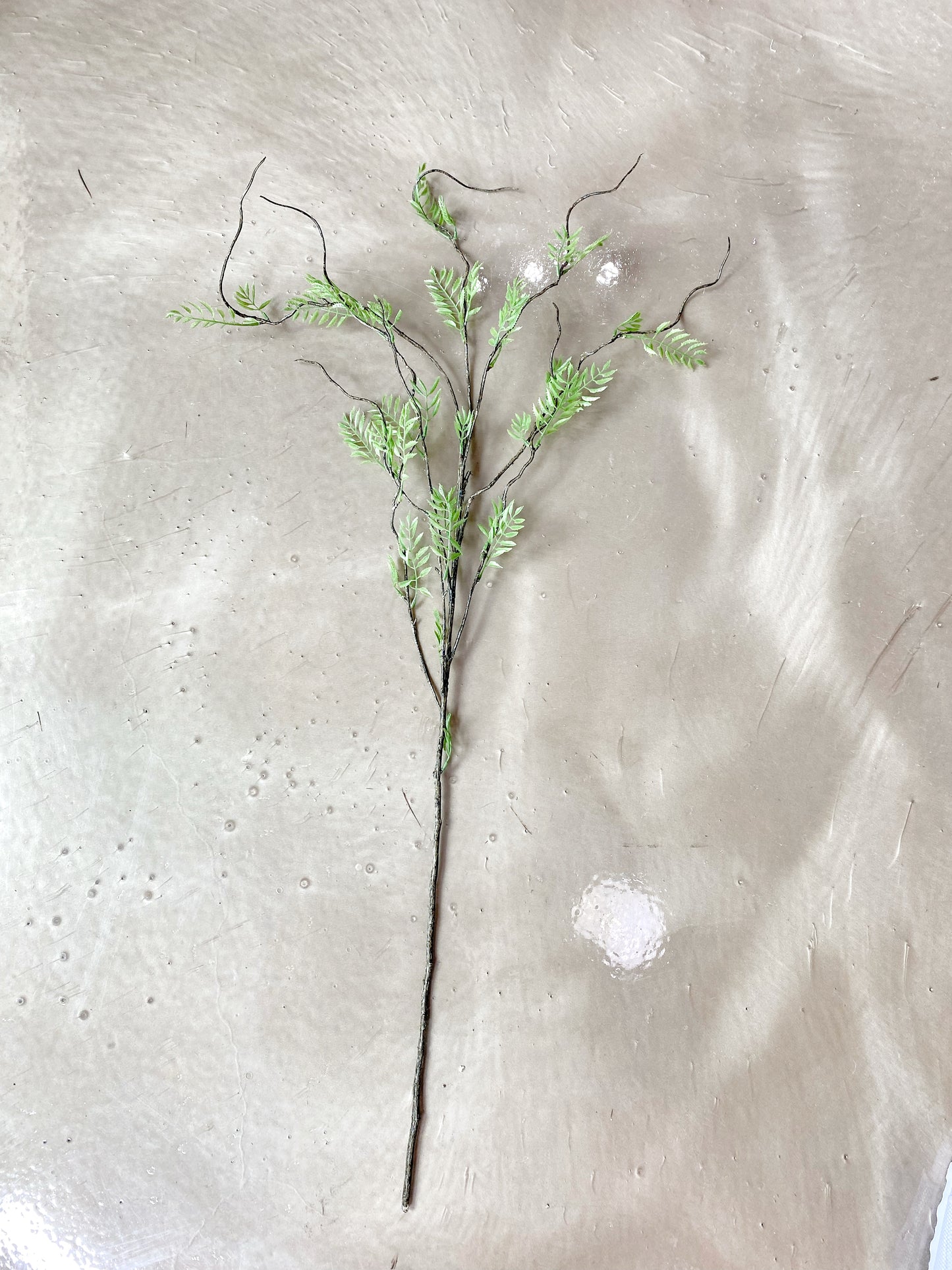 Wispy Green Stem