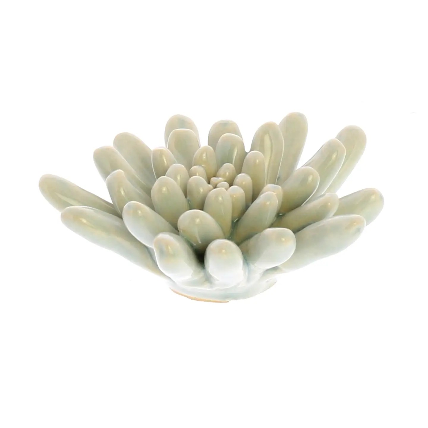 Soft Blue Ceramic Succulent