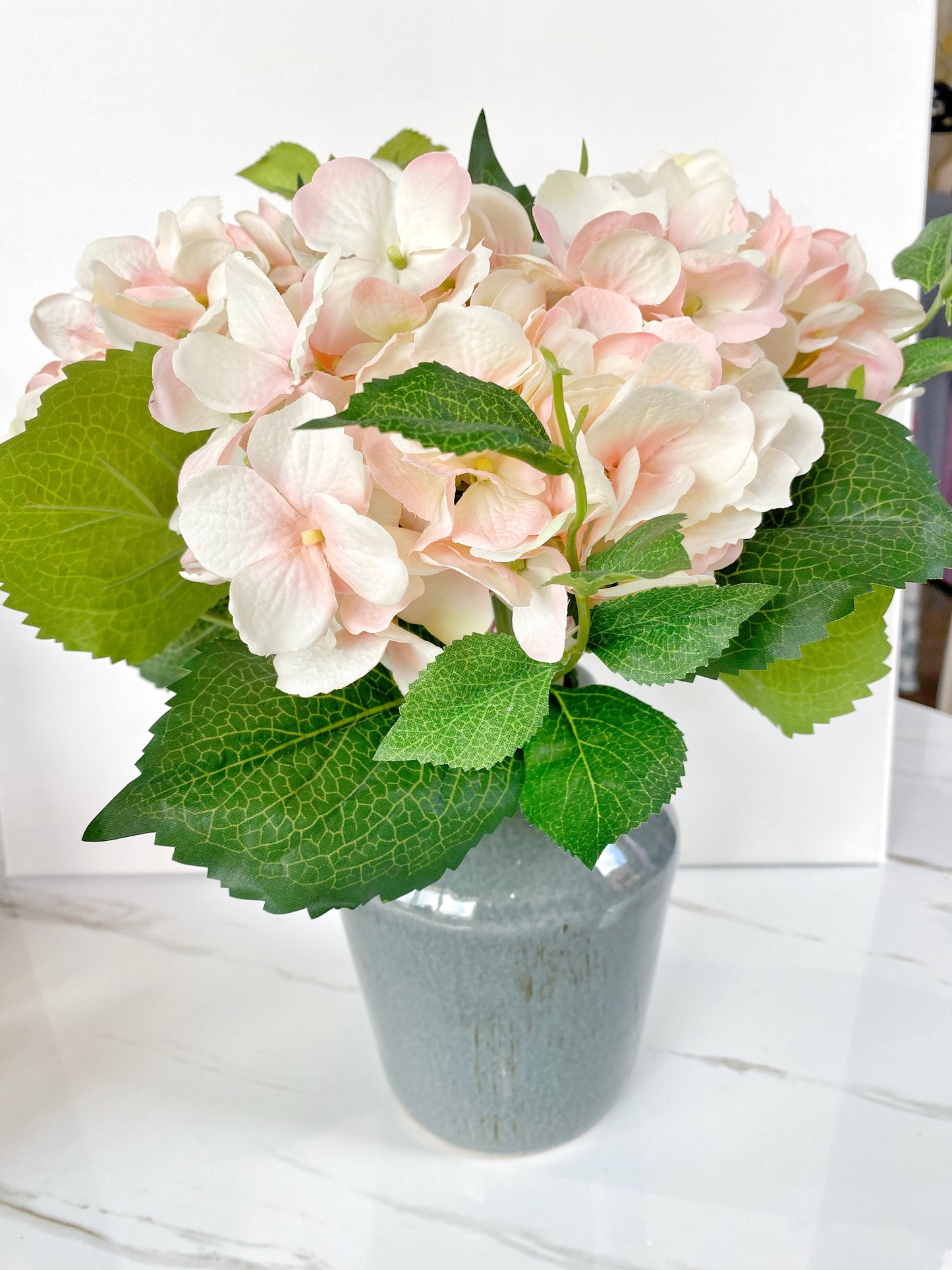 Blushed Hydrangea