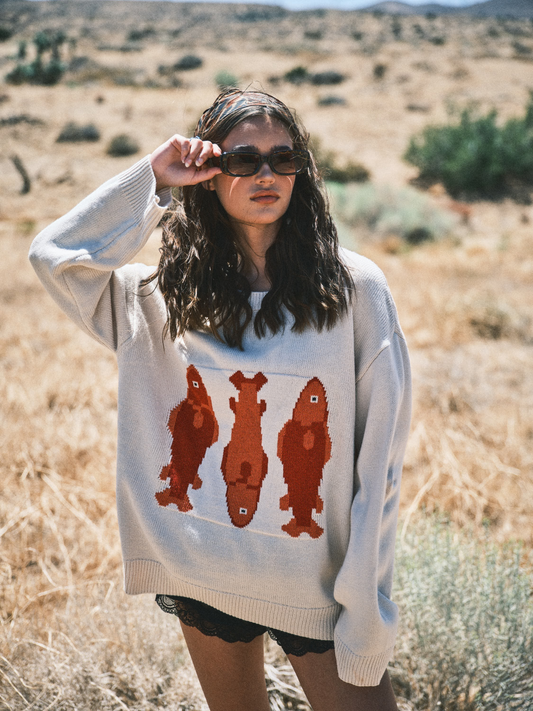 Iggy Fish Sweater