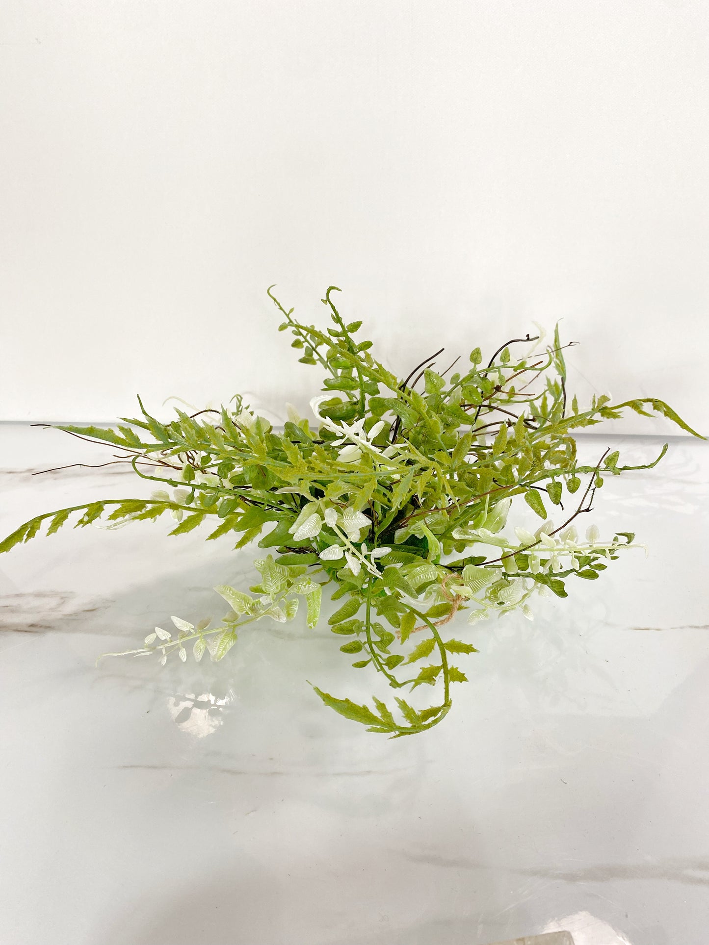 Mixed Fern Orb