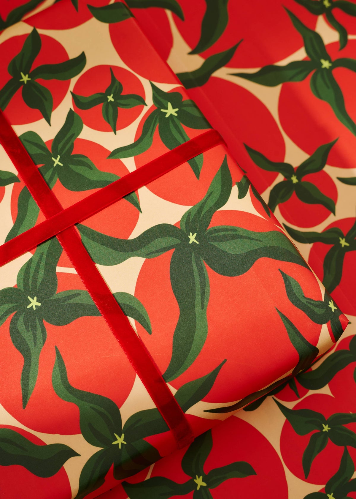 Squiggle Sardine Stripe & Tomato Double Sided Gift Wrap