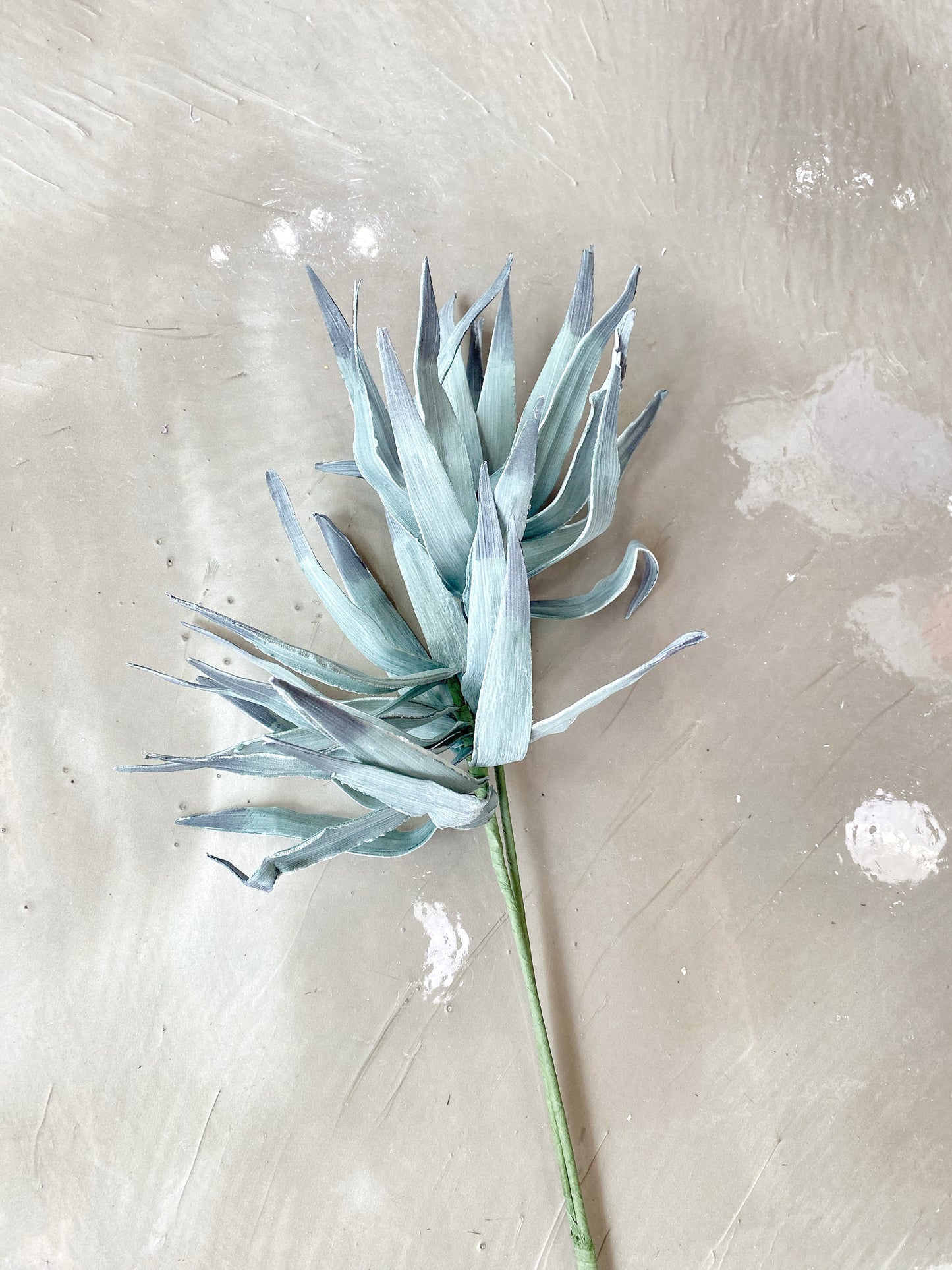 Foam Double Fan Palm