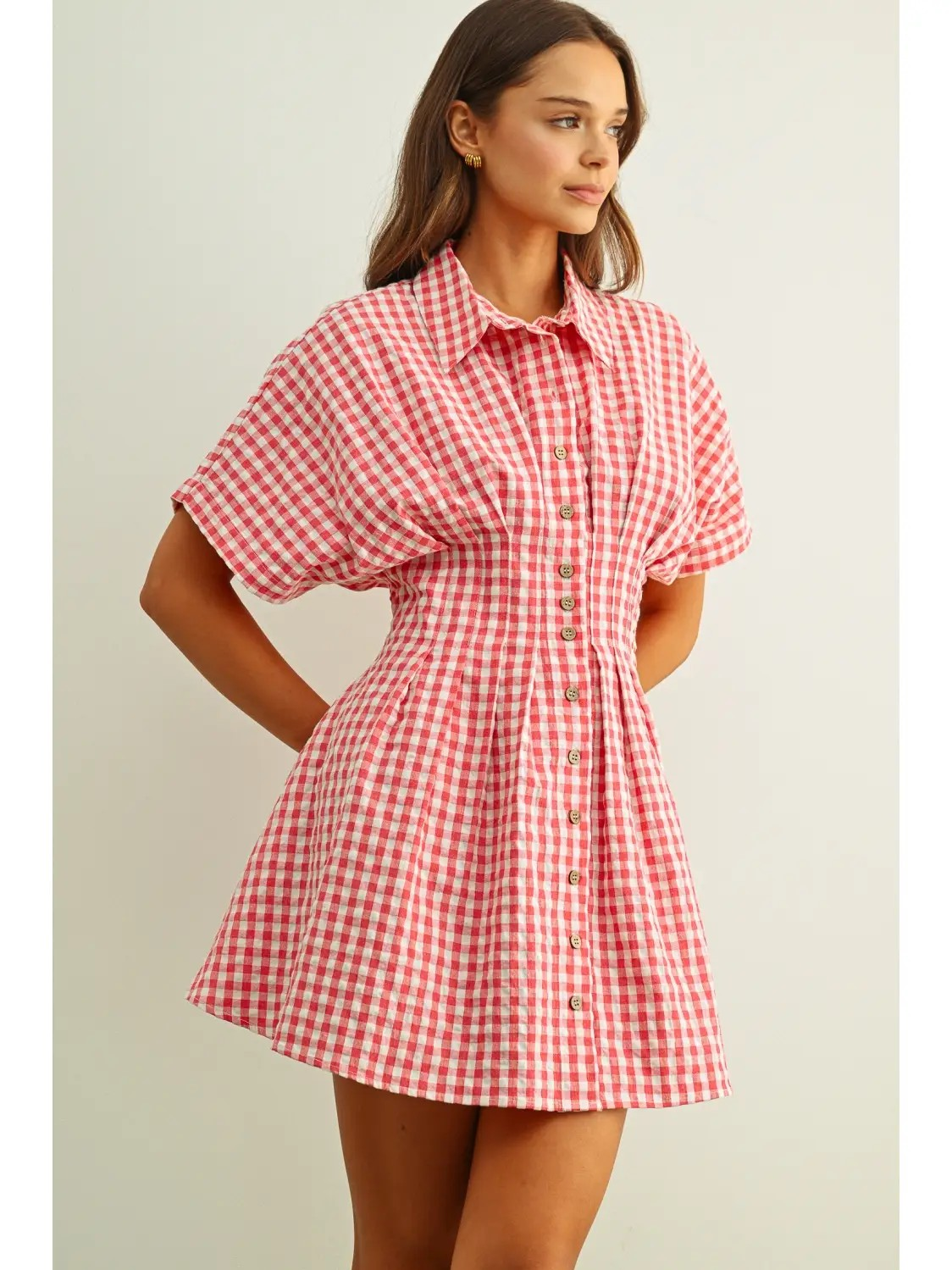 Virginia Gingham Shirt Dress