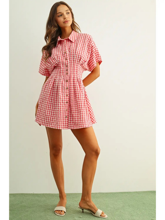 Virginia Gingham Shirt Dress