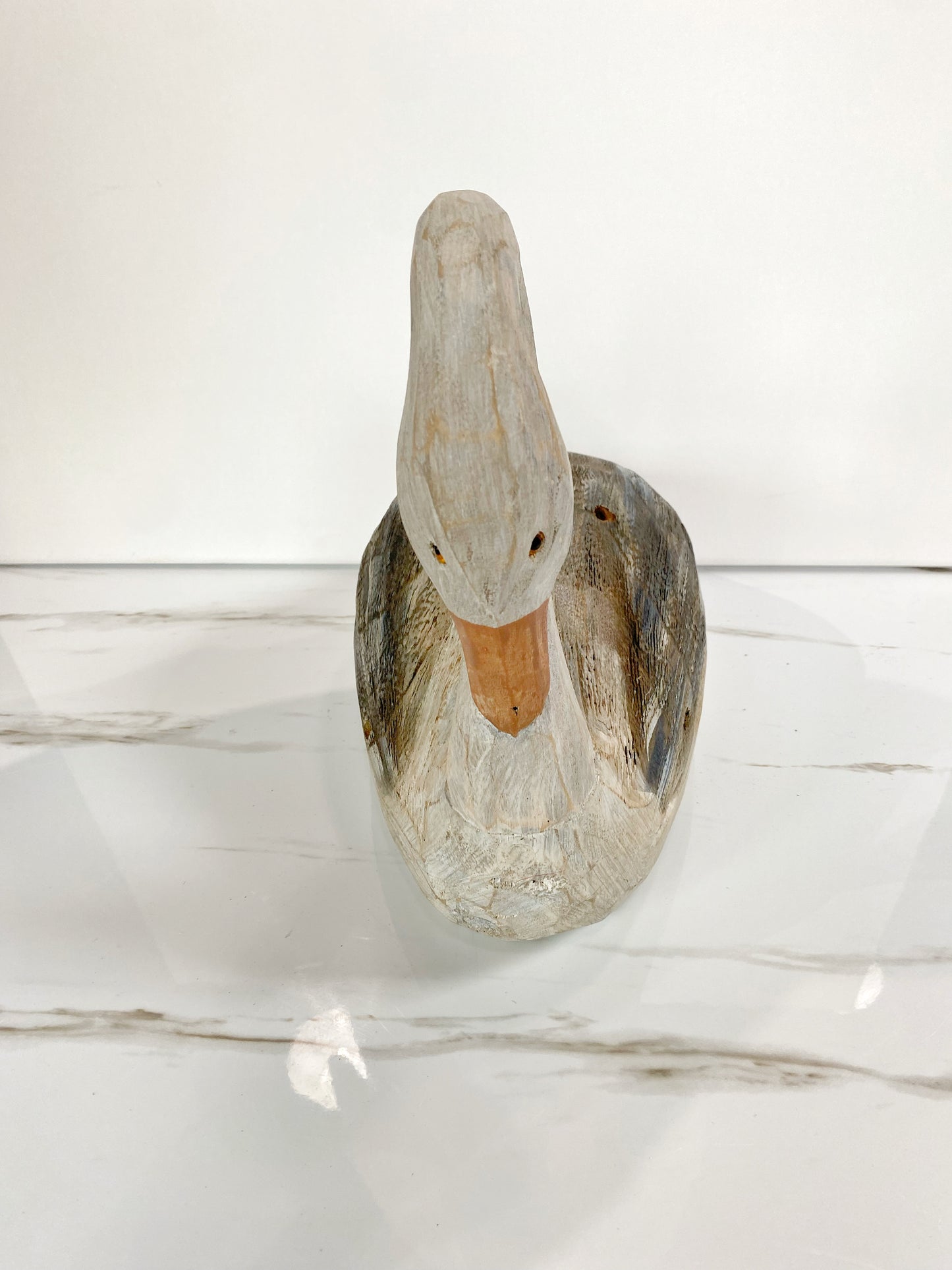 Wood Duck