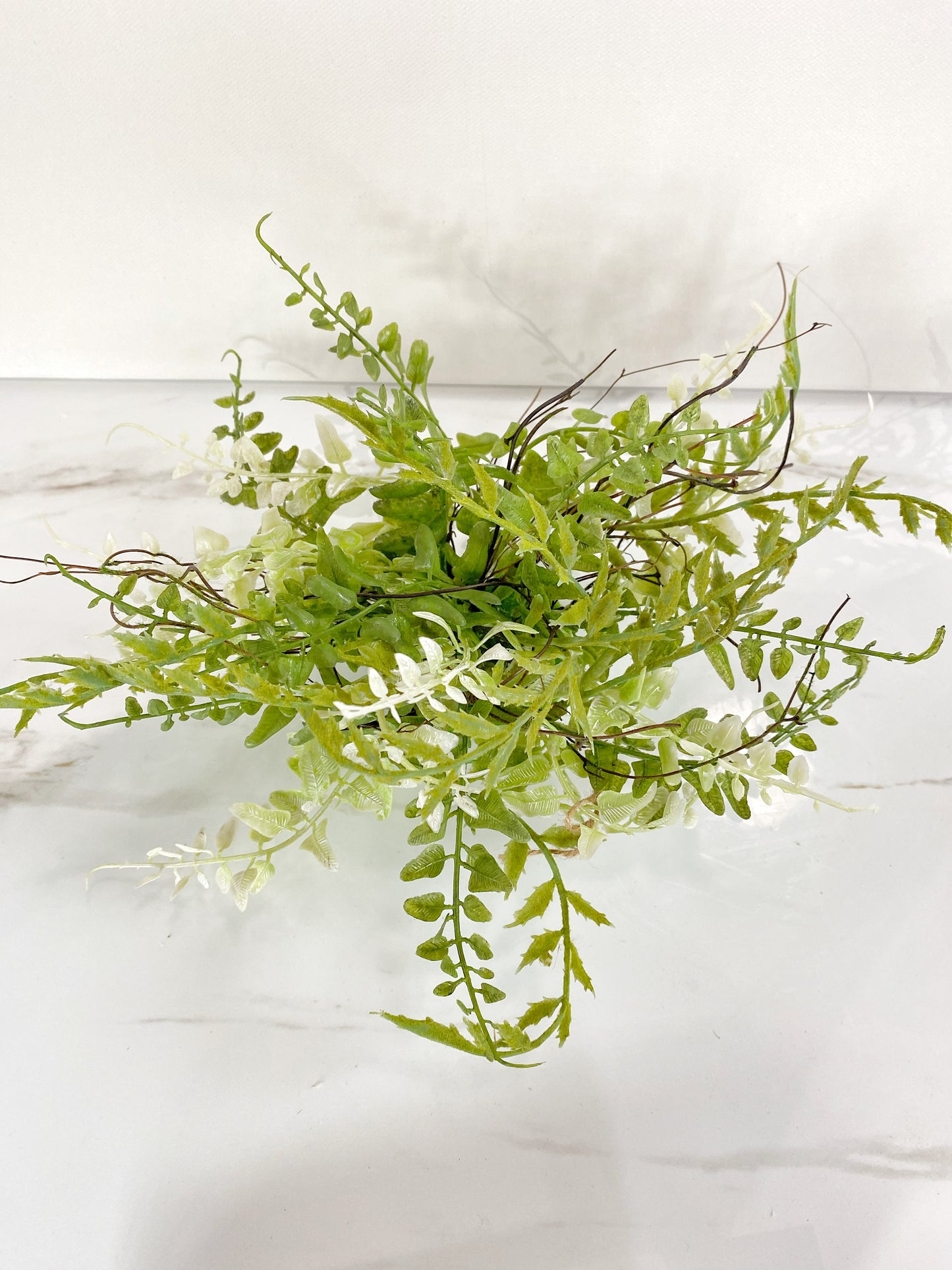 Mixed Fern Orb