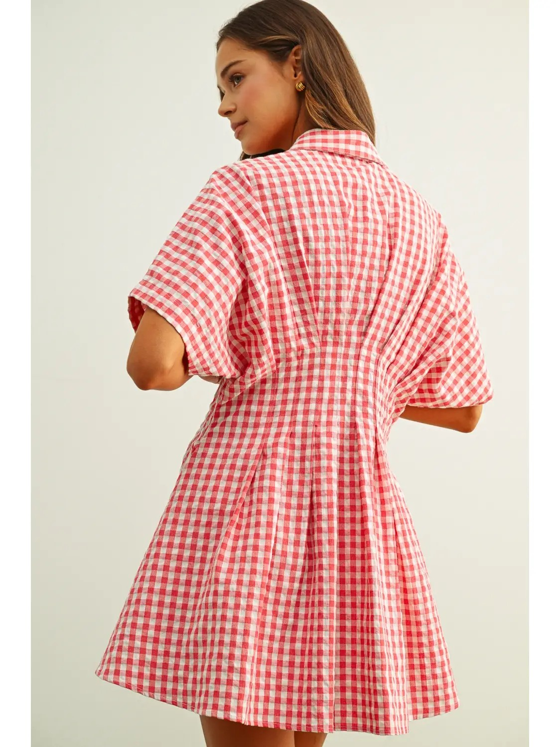 Virginia Gingham Shirt Dress