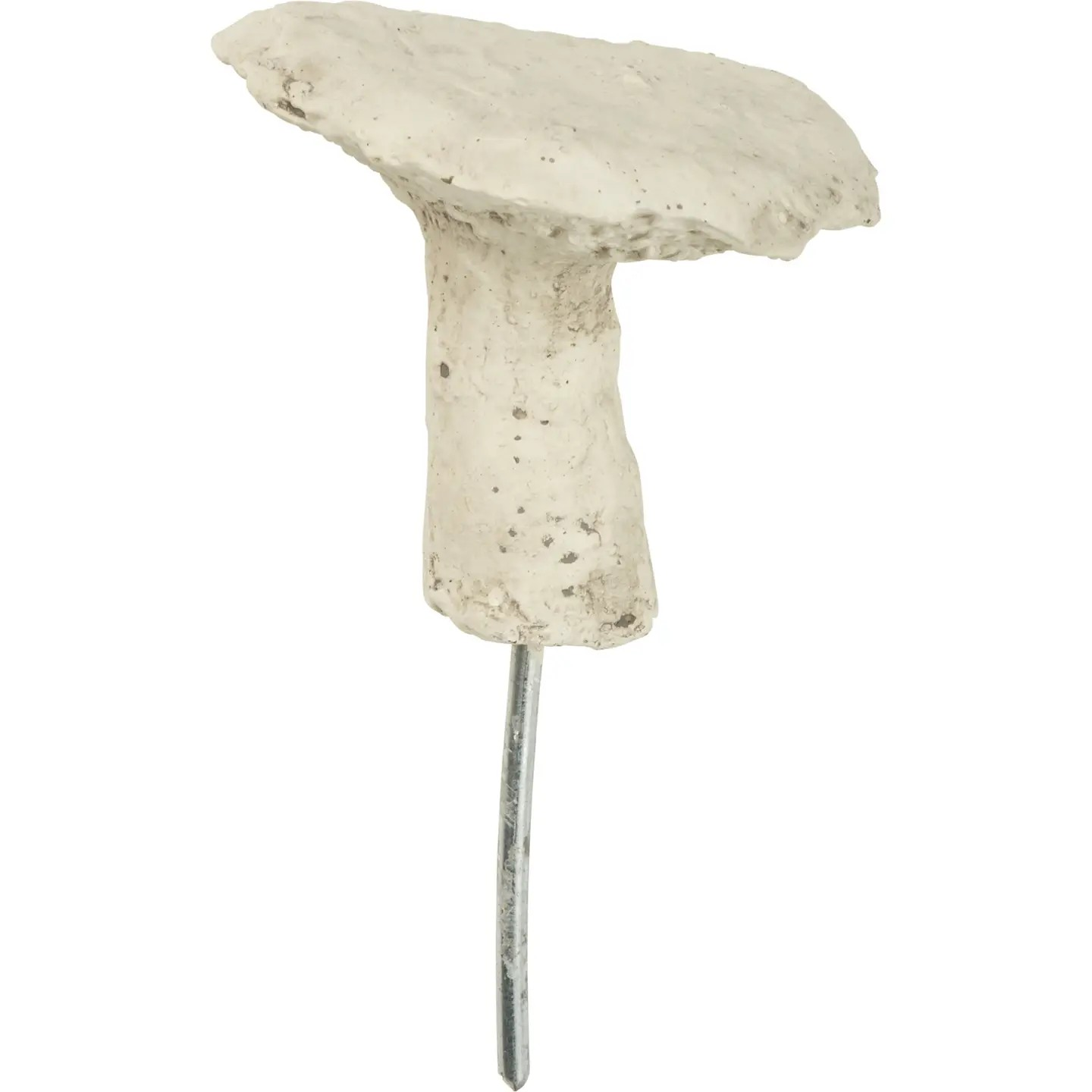 Shiitake Mushroom Pick